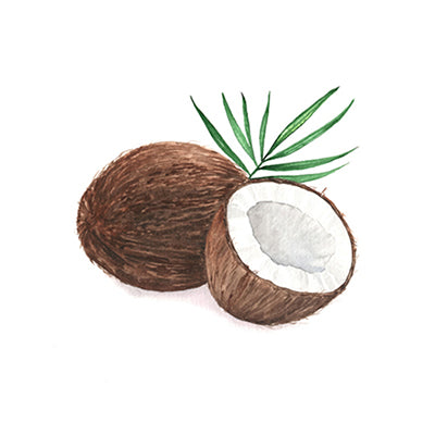 Coconut Oil